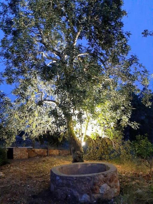 Quinta Do Cerro Sao Vicente Βίλα Αλμπουφέιρα Εξωτερικό φωτογραφία